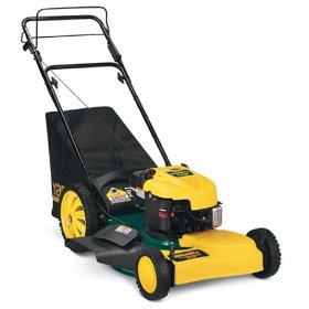 http://www.lawn-mowers-review.com/images/briggs-and-stratton-yardman-65-hp-21-cut-21120441.jpg